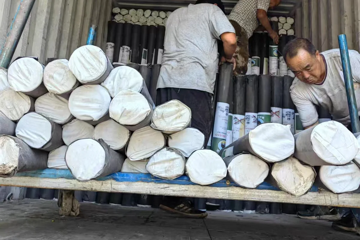 Roofing felt rolls packed for container shipment