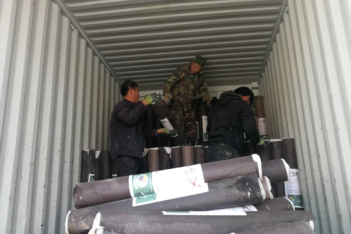 Roofing felt rolls packed for container shipment
